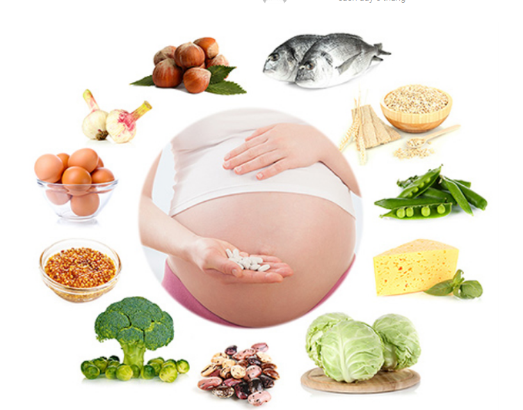 Những thực phẩm tốt cho bà bầu nên ăn trong 3 tháng đầu thai kỳ.