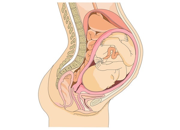 Khi mẹ mang thai tháng thứ 6, một số bé đã quay đầu xuống tạo áp lực mạnh hơn lên dây thần kinh hông và khu vực trực tràng