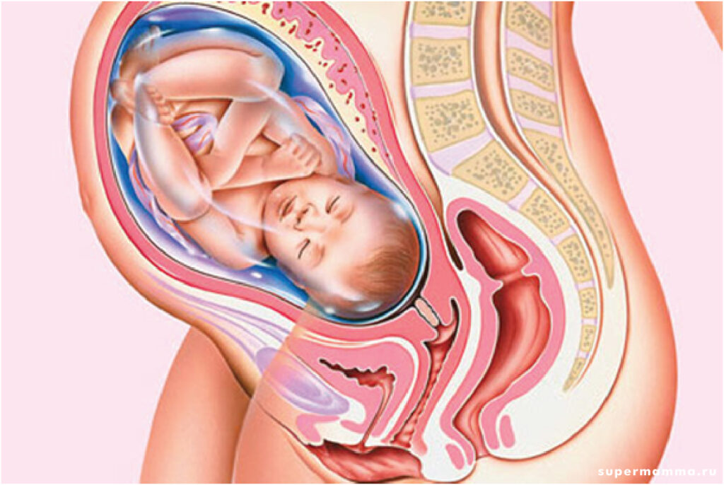 Khi thai nhi tuần 40, bạn cũng có thể bị khó chịu ở khu vực âm hộ vì bị sưng. 