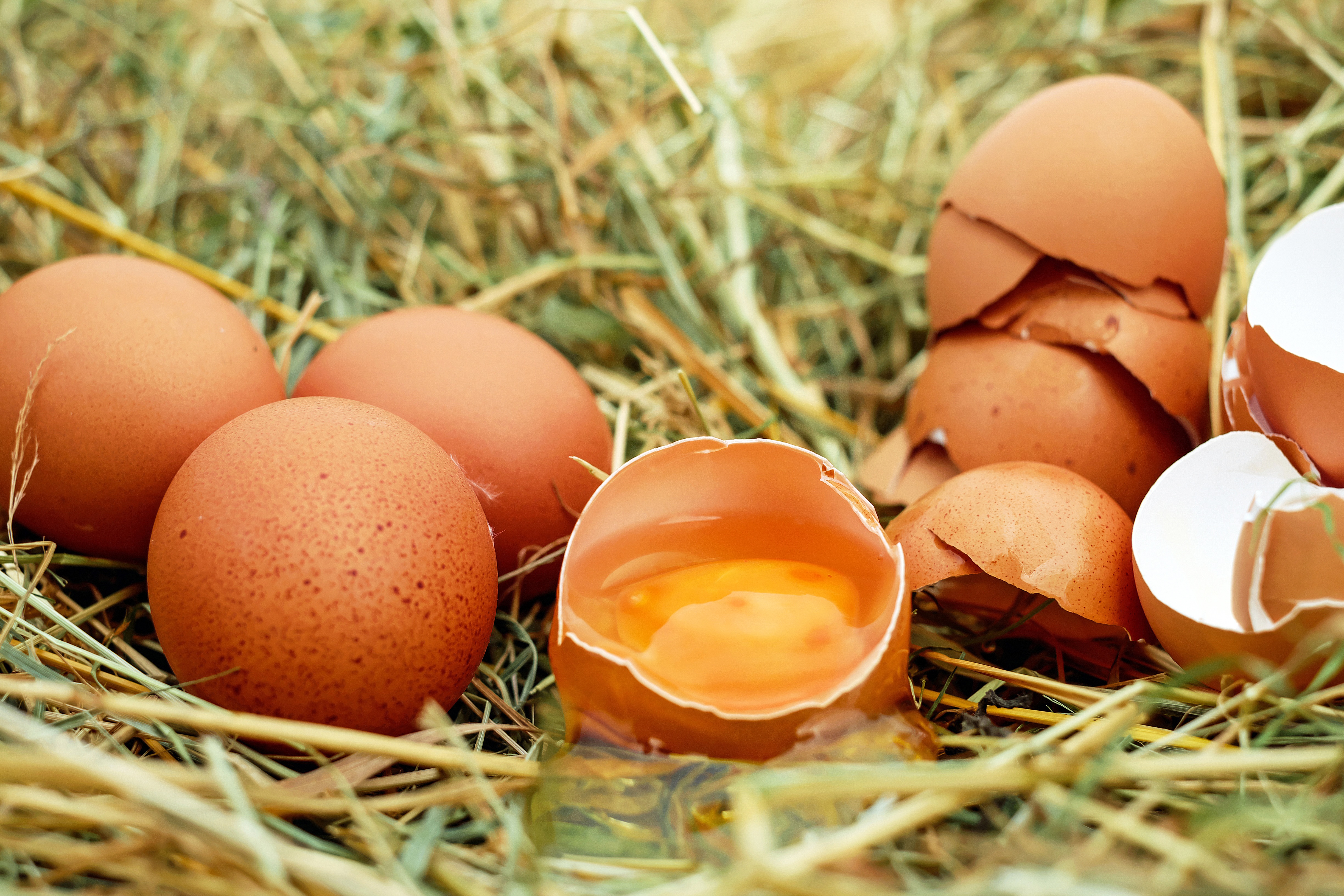 Trứng gà chứa nhiều chất dinh dưỡng rất tốt cho mẹ bầu 2 tháng