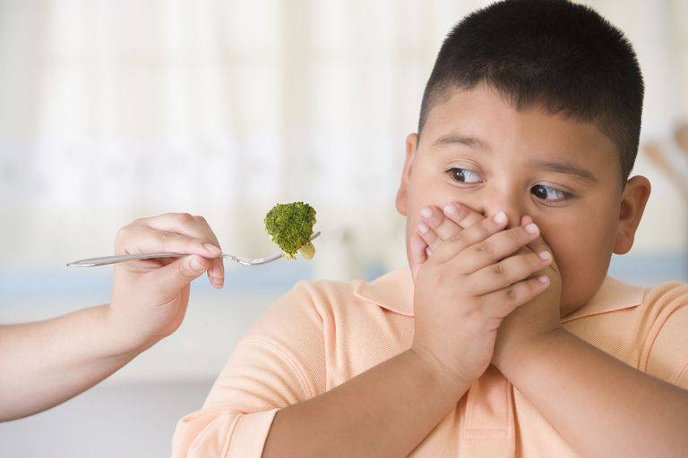 Không nên cắt khẩu phần ăn của trẻ một cách đột ngột để tránh tình trạng mất cân bằng dinh dưỡng